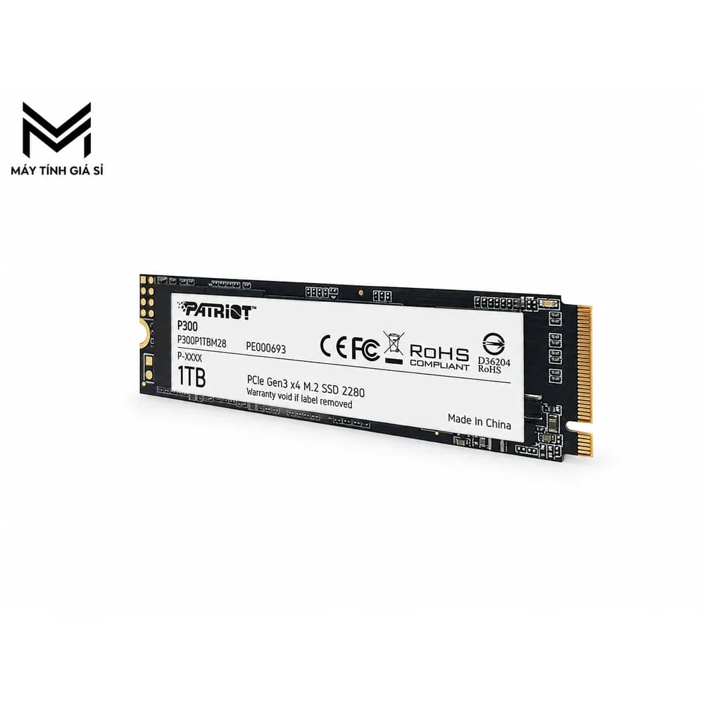 Patriot P300 1TB NVMe