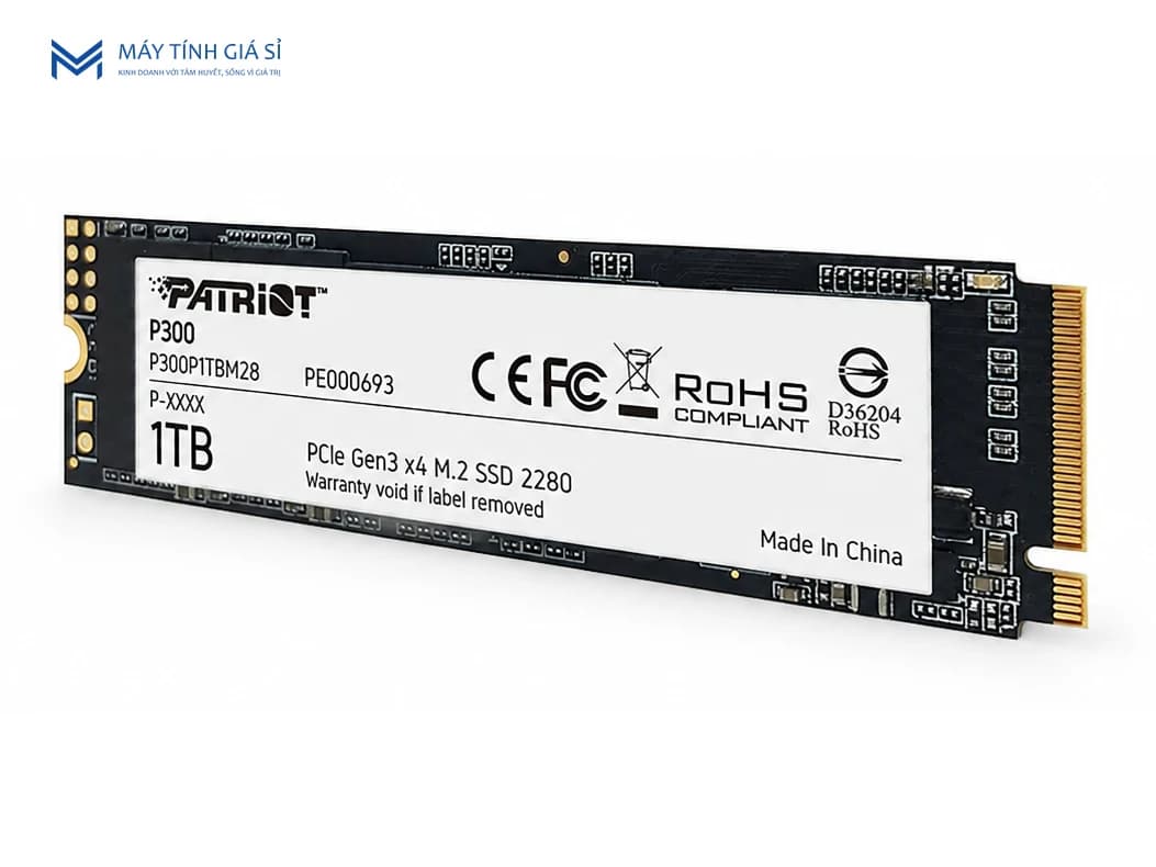 Patriot P300 1TB NVMe