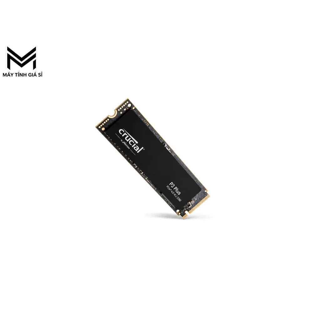 Crucial P3 Plus 1TB Gen4