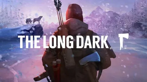 The long dark