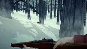The long dark