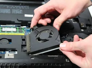 Laptop màn hình đen quạt quay nhưng không hiện gì