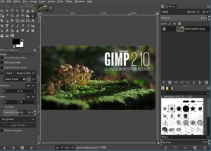 Tải Gimp V2.10 Miễn Phí – Phần Mềm Chỉnh Sửa Ảnh Mã Nguồn Mở Đa Năng - 4 Gimp v2. 10 cho windows mac và linux