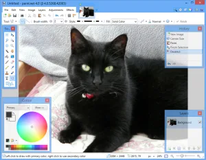 Paint. Net 4. 0 cho windows