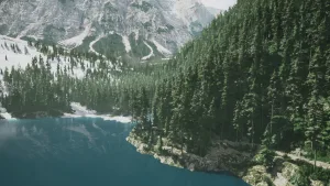 Tải Lushfoil Photography Sim Update V20250520-Tenoke: Bản Cập Nhật Mới Nhất Dành Cho Tín Đồ Game Mô Phỏng Chụp Ảnh - 2 Tải-lushfoil-photography-sim-update-v20250520